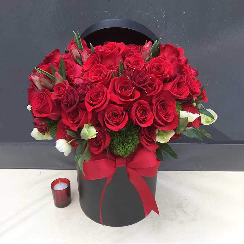 Альфирк alyfirk