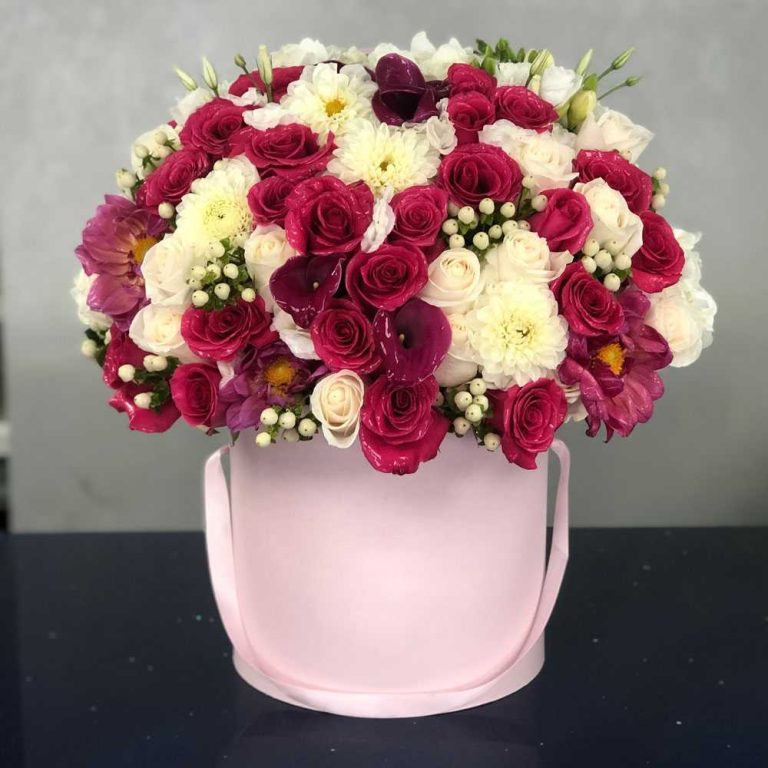 Принцесс printsess