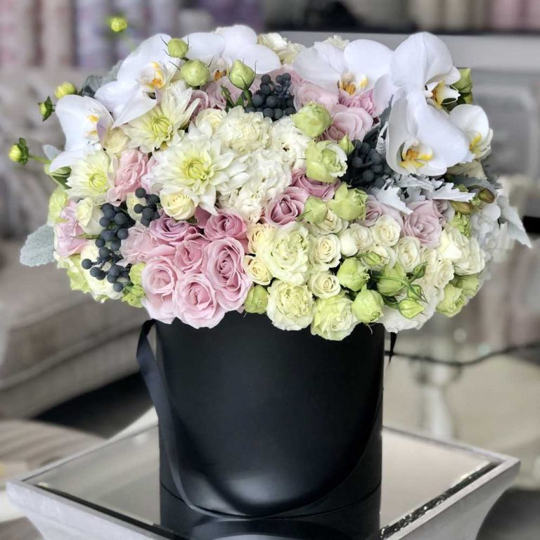 Персея perseya