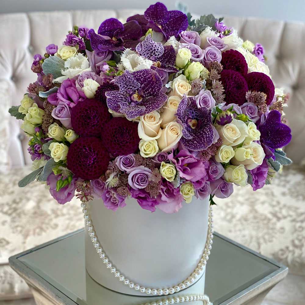 Мебсута mebsuta