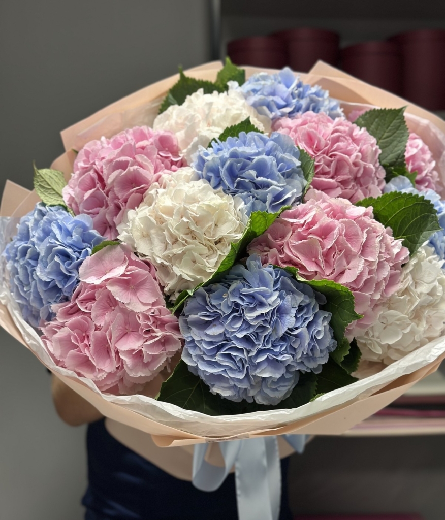 Букет гортензий Мистери: мечта каждой девушки buket-gortenziy-misteri:-mechta-kazhdoy-devushki
