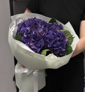 Букет из гортензий Нюи: фиолетовое великолепие buket-iz-gortenziy-nyui:-fioletovoe-velikolepie